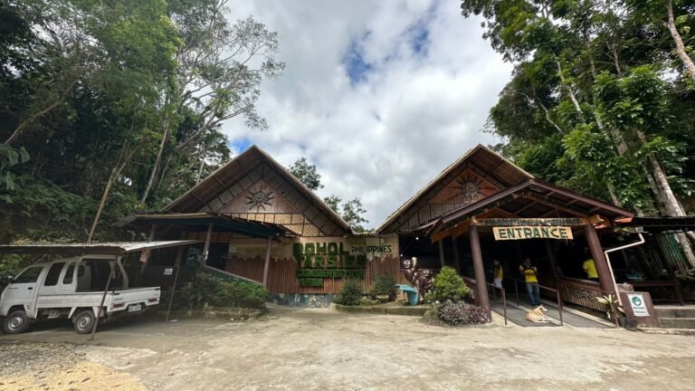 Tarsier