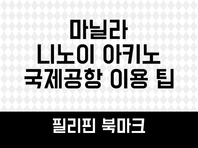 마닐라 공항 이용 팁